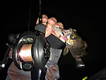 Img_1786_medium