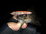Img_1792_medium