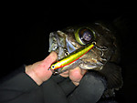 Img_1796_medium