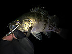 Img_1797_medium