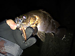 Img_1802_medium