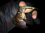 Img_1840_medium