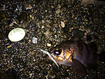 Img_1843_medium