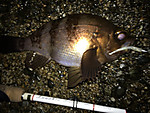 Img_1844_medium