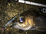 Img_1845_medium
