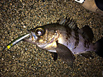 Img_1847_medium