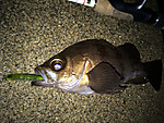 Img_1850_medium