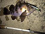 Img_0113_medium
