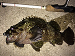 Img_0114_medium