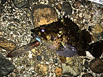 Img_0141_medium