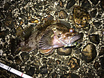 Img_0143_medium