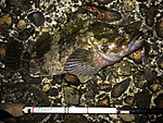 Img_0147_medium