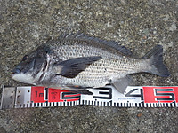 Photo_2