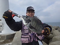 Photo_3