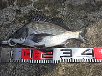 Photo_4