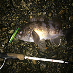Img_0162_medium