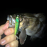 Img_0164_medium