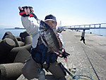 Img_0211_medium