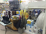 Img_0319_medium