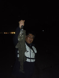 Dscf0293