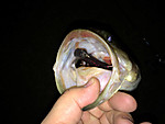 Img_0365_medium