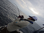Imgp2085_medium