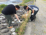 Img_0571_medium