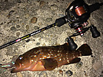 Img_0575_medium