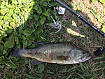 Img_0743_medium