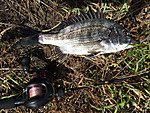 Img_0780_medium