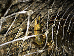 Img_0818_medium