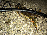 Img_0820_medium