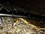 Img_0821_medium