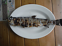 Dscf0339