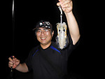 Imgp2267_medium