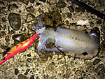 Img_0887_medium