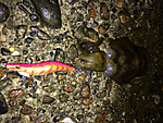 Img_0890_medium