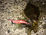 Img_0892_medium