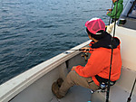 Img_0961_medium