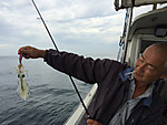 Img_0972_medium