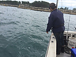 Img_0974_medium