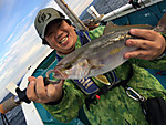 Img_0997_medium