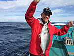 Img_1004_medium