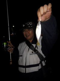 Imgp2346_medium