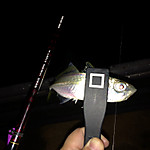 Img_1137_medium