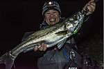Img_1165_medium