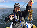 Img_1225_medium