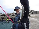 Imgp2509_medium