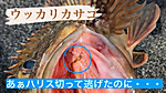 67c9464adb8e4563818770664ea762e6